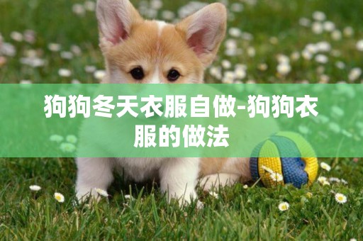 狗狗冬天衣服自做-狗狗衣服的做法