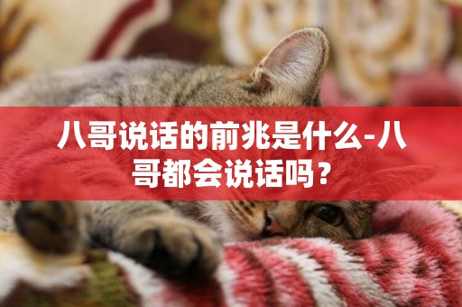 八哥說話的前兆是什么-八哥都會說話嗎？