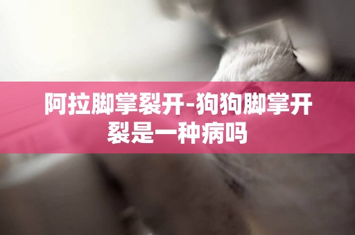 阿拉腳掌裂開-狗狗腳掌開裂是一種病嗎