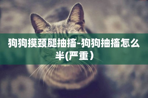 狗狗摸頸腿抽搐-狗狗抽搐怎么半(嚴重）