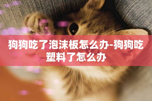 狗狗吃了泡沫板怎么辦-狗狗吃塑料了怎么辦