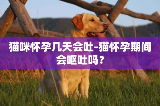 貓咪懷孕幾天會吐-貓懷孕期間會嘔吐嗎？