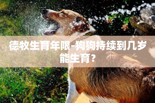 德牧生育年限-狗狗持續到幾歲能生育？