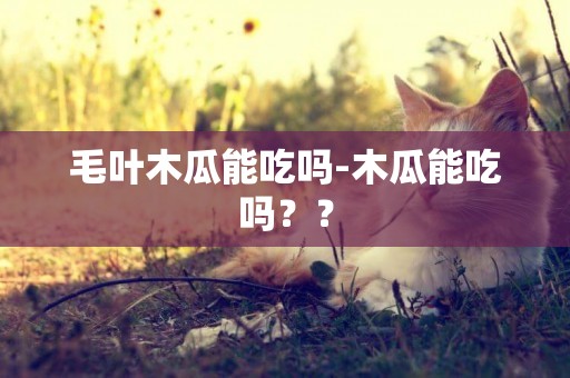 毛葉木瓜能吃嗎-木瓜能吃嗎？？
