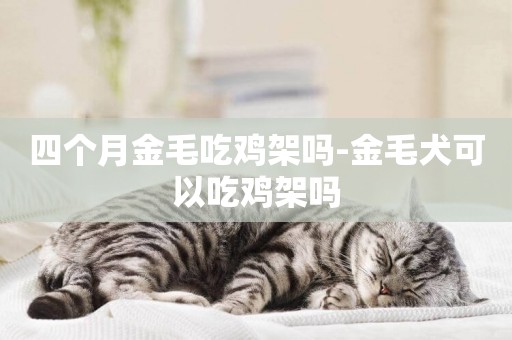 四個月金毛吃雞架嗎-金毛犬可以吃雞架嗎