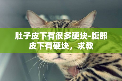 肚子皮下有很多硬塊-腹部皮下有硬塊，求教