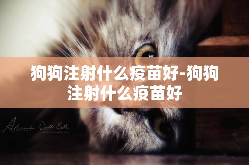 狗狗注射什么疫苗好-狗狗注射什么疫苗好