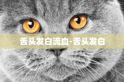 舌頭發白流血-舌頭發白
