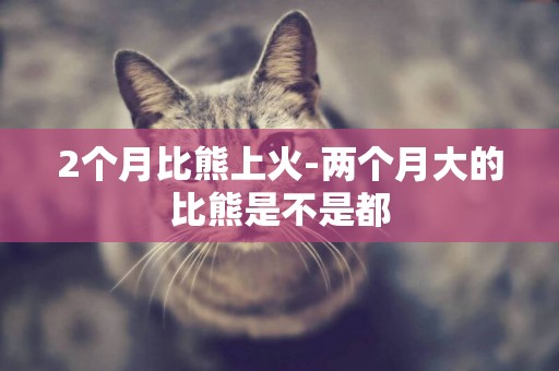 2個月比熊上火-兩個月大的比熊是不是都