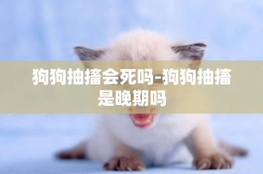 狗狗抽搐會死嗎-狗狗抽搐是晚期嗎