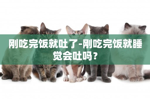 剛吃完飯就吐了-剛吃完飯就睡覺會吐嗎？