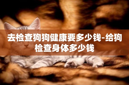 去檢查狗狗健康要多少錢-給狗檢查身體多少錢