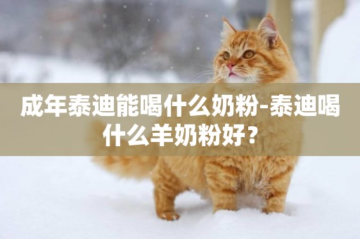 成年泰迪能喝什么奶粉-泰迪喝什么羊奶粉好？