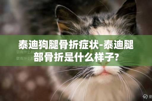 泰迪狗腿骨折癥狀-泰迪腿部骨折是什么樣子?