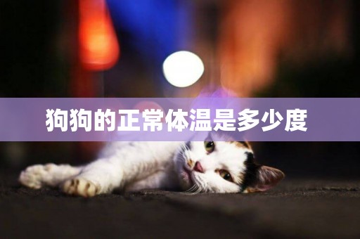 狗狗的正常體溫是多少度 