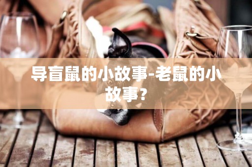 導盲鼠的小故事-老鼠的小故事？