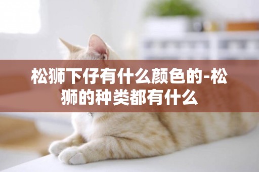 松獅下仔有什么顏色的-松獅的種類都有什么