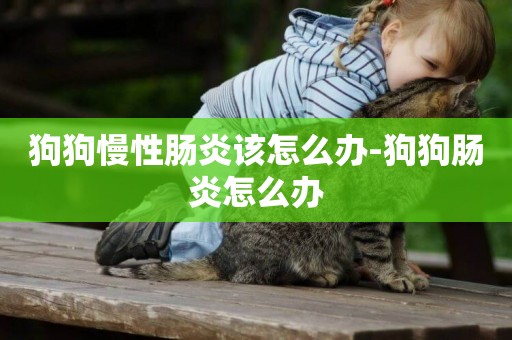 狗狗慢性腸炎該怎么辦-狗狗腸炎怎么辦
