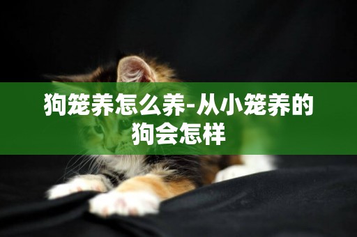 狗籠養怎么養-從小籠養的狗會怎樣