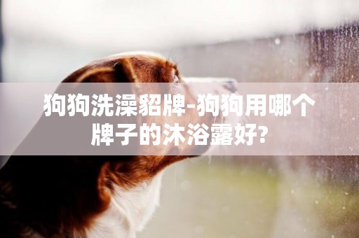 狗狗洗澡貂牌-狗狗用哪個牌子的沐浴露好?