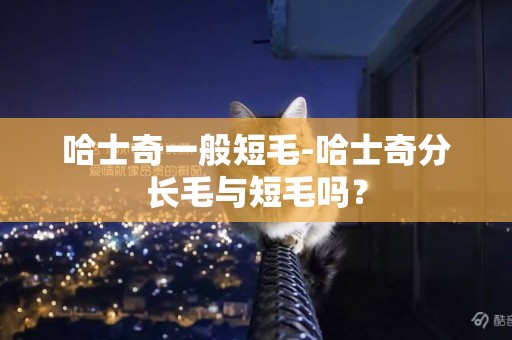 哈士奇一般短毛-哈士奇分長毛與短毛嗎？
