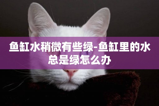 魚缸水稍微有些綠-魚缸里的水總是綠怎么辦