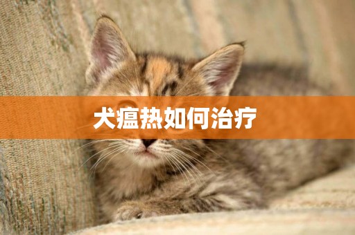 犬瘟熱如何治療 