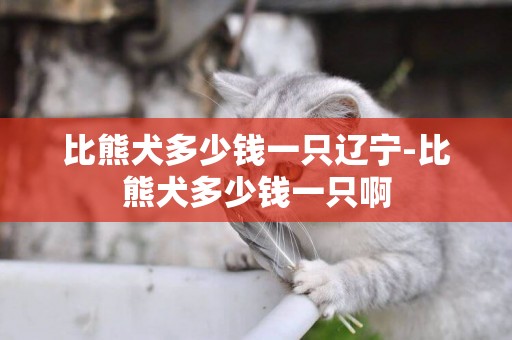 比熊犬多少錢一只遼寧-比熊犬多少錢一只啊