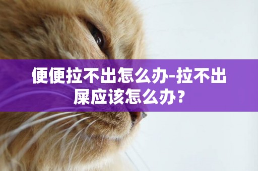 便便拉不出怎么辦-拉不出屎應該怎么辦？