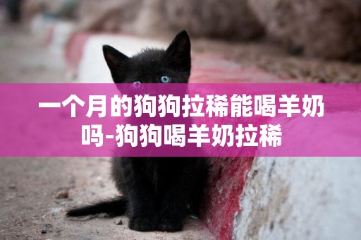 一個月的狗狗拉稀能喝羊奶嗎-狗狗喝羊奶拉稀
