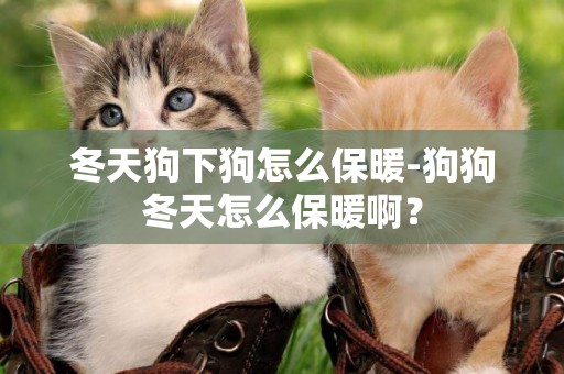 冬天狗下狗怎么保暖-狗狗冬天怎么保暖啊？