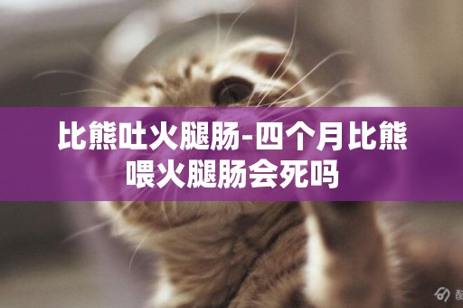比熊吐火腿腸-四個月比熊喂火腿腸會死嗎