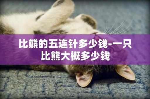 比熊的五連針多少錢-一只比熊大概多少錢