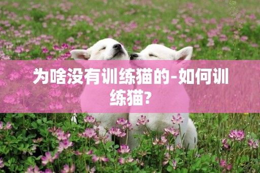 為啥沒有訓練貓的-如何訓練貓?