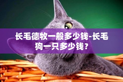長毛德牧一般多少錢-長毛狗一只多少錢？