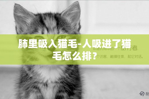 肺里吸入貓毛-人吸進了貓毛怎么排？