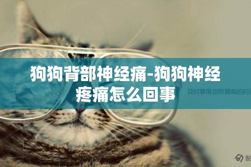 狗狗背部神經痛-狗狗神經疼痛怎么回事