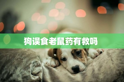狗誤食老鼠藥有救嗎 