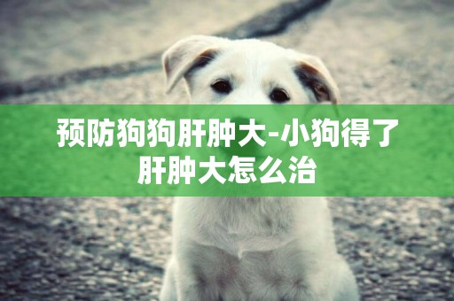 預防狗狗肝腫大-小狗得了肝腫大怎么治