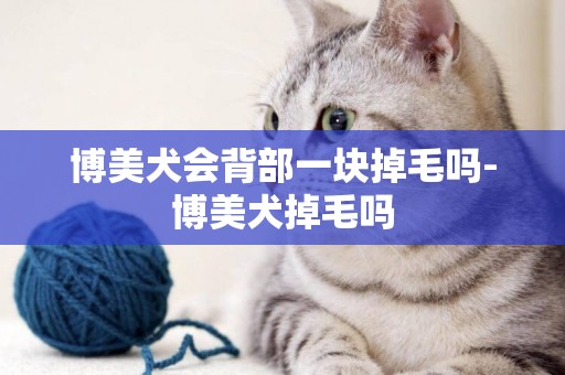 博美犬會背部一塊掉毛嗎-博美犬掉毛嗎