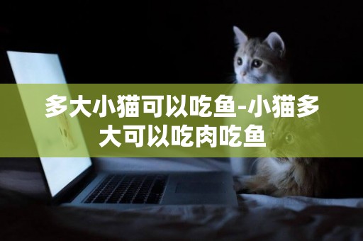 多大小貓可以吃魚-小貓多大可以吃肉吃魚