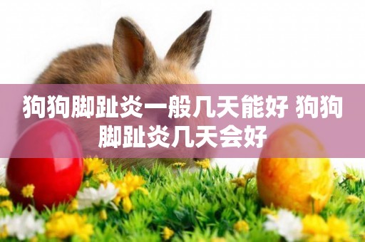 狗狗腳趾炎一般幾天能好 狗狗腳趾炎幾天會好