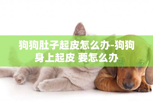 狗狗肚子起皮怎么辦-狗狗身上起皮 要怎么辦