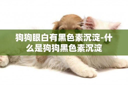 狗狗眼白有黑色素沉淀-什么是狗狗黑色素沉淀