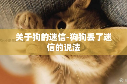 關于狗的迷信-狗狗丟了迷信的說法