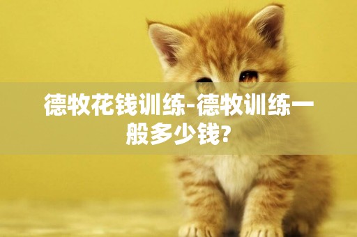 德牧花錢訓練-德牧訓練一般多少錢?