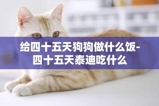 給四十五天狗狗做什么飯-四十五天泰迪吃什么