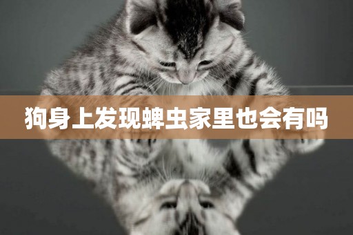 狗身上發現蜱蟲家里也會有嗎