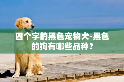 四個字的黑色寵物犬-黑色的狗有哪些品種？