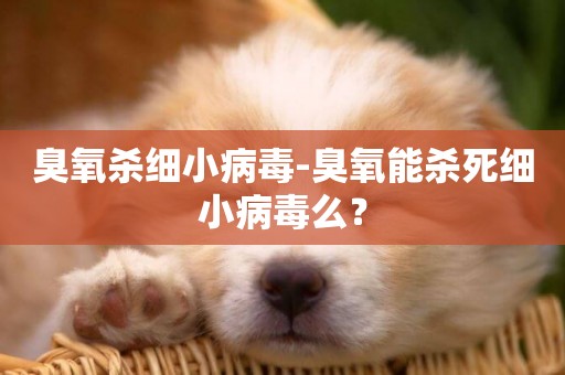 臭氧殺細小病毒-臭氧能殺死細小病毒么？